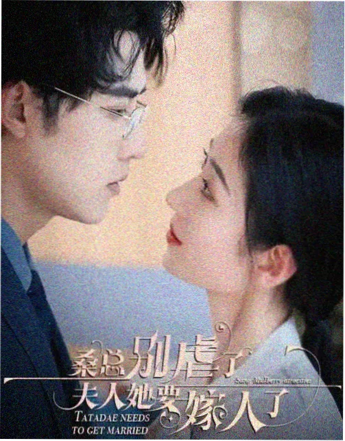 长夜书院热播电视剧免费看